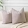 JUSPURBET Couch Pillow Covers Set of 2 Decorative 22x22 Velvet Throw Pillow Covers Cases for Living Room Bedroom Home Decor Soft Cushion Covers Cases with Hidden Zipper for Sofa BedChampagne