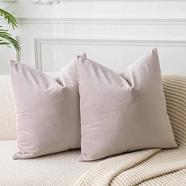 JUSPURBET Couch Pillow Covers Set of 2 Decorative 22x22 Velvet Throw Pillow Covers Cases for Living Room Bedroom Home Decor Soft Cushion Covers Cases with Hidden Zipper for Sofa BedChampagne