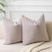 JUSPURBET Couch Pillow Covers Set of 2 Decorative 22x22 Velvet Throw Pillow Covers Cases for Living Room Bedroom Home Decor Soft Cushion Covers Cases with Hidden Zipper for Sofa BedChampagne