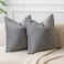 JUSPURBET Decorative 20x20 Pillow Covers Set of 2 Velvet Throw Pillow Covers for Couch Sofa Bed Soft Cushion Covers Cases with Hidden Zipper for Living Room HomeGray