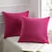 Phantoscope Pack of 2 Velvet Decorative Throw Decorative Pillow Cover Soft Solid Square Cushion Case for Couch Pink 20 x 20 inches 50 x 50 cm