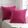 Phantoscope Pack of 2 Velvet Decorative Throw Decorative Pillow Cover Soft Solid Square Cushion Case for Couch Pink 20 x 20 inches 50 x 50 cm