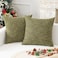 K KEVIN Kevin Textile Burlap Decoration Supersoft Linen Cushion Covers Square Throw Pillows Cover for Couch Set of 2 61x61 cm Peridot Green