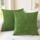 CaliTime Throw Pillow Covers Decorative 18 X 18 Inches Pack of 2 Cozy Chenille Cushion Cases for Couch Sofa Bed Living Room Home Forest Green