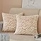 FY FIBER HOUSE Leopard Print Pillow Cover Flannel Fleece Throw Pillow Cases Covers for Couch Bed Sofa Set of 2 18 x 18 Inch Brown
