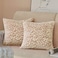 FY FIBER HOUSE Leopard Print Pillow Cover Flannel Fleece Throw Pillow Cases Covers for Couch Bed Sofa Set of 2 18 x 18 Inch Brown