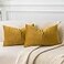 JUSPURBET Mustard Yellow Decorative Velvet Throw Pillow Covers 16x24Pack of 2 Luxury Soft Solid Cushion Cases for Sofa Couch Bed