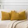 JUSPURBET Mustard Yellow Decorative Velvet Throw Pillow Covers 16x24Pack of 2 Luxury Soft Solid Cushion Cases for Sofa Couch Bed