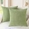 CaliTime Throw Pillow Covers Decorative 20 X 20 Inches Pack of 2 Cozy Chenille Cushion Cases for Couch Sofa Bed Living Room Home Sage Green