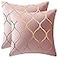 DEZENE Gold Velvet Throw Pillow Covers 2 Pack 16x16 Inch Square Decorative Pillow Cases for Bedroom Sofa Couch Living Room Pink