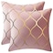 DEZENE Gold Velvet Throw Pillow Covers 2 Pack 16x16 Inch Square Decorative Pillow Cases for Bedroom Sofa Couch Living Room Pink
