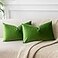 JUSPURBET Apple Green Lumbar Velvet Throw Pillow Covers 16x24 inch Set of 2 for Living Room Couch Sofa Bedroom Decorative Rectangle Solid Soft Cushion Cases with Invisible Zipper