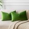 JUSPURBET Apple Green Lumbar Velvet Throw Pillow Covers 16x24 inch Set of 2 for Living Room Couch Sofa Bedroom Decorative Rectangle Solid Soft Cushion Cases with Invisible Zipper