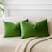 JUSPURBET Apple Green Lumbar Velvet Throw Pillow Covers 16x24 inch Set of 2 for Living Room Couch Sofa Bedroom Decorative Rectangle Solid Soft Cushion Cases with Invisible Zipper