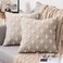 MIULEE Set of 2 Decorative Throw Pillow Covers Rhombic Jacquard Pillowcase Spring Soft Square Cushion Case for Couch Sofa Bed Bedroom Living Room 20x20 Inch Beige