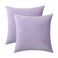 Jeneoo Set of 2 Comfy Soft Velvet Throw Pillow Cases for Sofa Couch Decorative Solid Square Cushion Covers for Bedroom Car 14 x 14 Inches Lavender