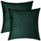 Mixhug Decorative Throw Pillow Covers Velvet Cushion Covers Solid Throw Pillow Cases for Couch and Bed Dark Green 24 x 24 Inches Set of 2