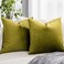 QUAFOO Olive Couch Velvet Throw Pillow Covers 24x24 inch Set of 2 with Zipper Decorative Luxury Soft Solid Rectangle Cushion Covers Case for Sofa Bed Living Room Car