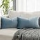QUAFOO Light Blue Decorative Lumbar Velvet Throw Pillow Covers 12x20 inch Set of 2 with Zipper Luxury Soft Solid Rectangle Cushion Covers Case for Sofa Couch Bed Living Room