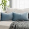 QUAFOO Light Blue Decorative Lumbar Velvet Throw Pillow Covers 12x20 inch Set of 2 with Zipper Luxury Soft Solid Rectangle Cushion Covers Case for Sofa Couch Bed Living Room