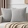 K KEVIN Kevin Textile Set of 2 Decorative Pillows Covers for Couch Striped Boho Velvet Sofa Pillow Covers 40x40cm 16 x 16 Inch Light Grey