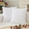 K KEVIN Kevin Textile Velvet Pillow Covers Striped Decorative Throw Cushion Case with Hidden Zipper for Home CouchBedroom 2 Pack 24x24 Inch Pure White