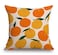TSSOHU Throw Pillow Cover Mandarins Oranges Summer Fruits Decorative Throw Pillow Case Square 18 x 18 Home Couch Bed Pillowcase