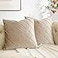 GIGIZAZA Decorative Velvet Pillow Covers 18x18 Set of 2 Champagne Sofa Couch Throw Pillows Covers Cases Living Room Square Cushion Accent Stripe Covers