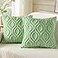 decorUhome Throw Pillow Covers 20x20 Inch Set of 2 Soft Plush Faux Wool Light Sage Green Solid Couch Pillow Covers Accent Farmhouse Neutral Square Pillow Cases for Sofa Bed Living Room