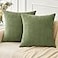 MIULEE Pack of 2 Couch Throw Pillow Covers 20x20 Inch Spring Soft Sage Green Chenille Pillow Covers for Sofa Living Room Solid Dyed Pillow Cases