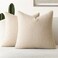 Foindtower Pack of 2 Curly Faux Fur Decorative Throw Pillow Covers Soft Plush Cushion Case with Zipper Cozy Fluffy Boho Pillowcase for Home Living Room Couch Bed Sofa 18 x 18 Inch Light Beige