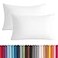 BEDSUM Microfiber Queen Pillowcases Set of 2 Soft Wrinkle Resistant and Easy Care Pillow Cases with Envelope Closure 20x30 inches White