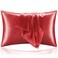 BEDELITE Satin Pillowcase for Hair and Skin Super Soft and Cooling Similar to Silk Pillow Cases 2 Pack with Envelope Closure Gift for Women Men20x26 Standard Size Baked Apple