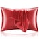 BEDELITE Satin Pillowcase for Hair and Skin Super Soft and Cooling Similar to Silk Pillow Cases 2 Pack with Envelope Closure Gift for Women Men20x26 Standard Size Baked Apple