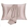 JOGJUE Silk Pillowcase for Hair and Skin 2 Pack 100 Mulberry Silk Bed Pillowcase Hypoallergenic Soft Breathable Both Sides Silk Pillow Case with Hidden Zipper Pillow Cases Standard ApricotGray