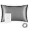 ALASKA BEAR Silk Pillowcase Men Women Beauty Anti Face Wrinkle Pillow Slip Case Real Mulberry Silk Queen Size with Zipper Closure 1pc Iron Grey