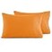 Elegant Comfort Luxury UltraSoft 2Piece Pillowcase Set 1500 Premium Hotel Quality Microfiber Double Brushed Wrinkle Resistant King Size Vibrant Orange