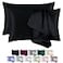 BEIJOEY 100 Mulberry Silk Pillowcase 2 Pack for Hair and Skinwith Hidden ZipperBoth Sides 19 Momme 600 Thread Count Natural Silk Pillow CoverSoft Breathable Smooth Black Queen 20x30