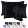 BEIJOEY 100 Mulberry Silk Pillowcase 2 Pack for Hair and Skinwith Hidden ZipperBoth Sides 19 Momme 600 Thread Count Natural Silk Pillow CoverSoft Breathable Smooth Black Queen 20x30