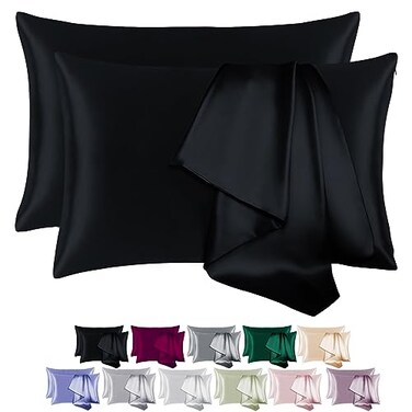 BEIJOEY 100 Mulberry Silk Pillowcase 2 Pack for Hair and Skinwith Hidden ZipperBoth Sides 19 Momme 600 Thread Count Natural Silk Pillow CoverSoft Breathable Smooth Black Queen 20x30