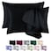 BEIJOEY 100 Mulberry Silk Pillowcase 2 Pack for Hair and Skinwith Hidden ZipperBoth Sides 19 Momme 600 Thread Count Natural Silk Pillow CoverSoft Breathable Smooth Black Queen 20x30