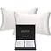 QUEEN BEE SILK 2 Pack Silk Pillowcase for Hair and Skin 22 Momme Mulberry Silk Charmeuse Weave Envelope Closure Queen Size White