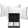 QUEEN BEE SILK 2 Pack Silk Pillowcase for Hair and Skin 22 Momme Mulberry Silk Charmeuse Weave Envelope Closure Queen Size White