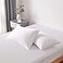 BC BELLA Bella Coterie Luxury Bamboo Viscose Queen Size Pillowcase Set 100 Organically Grown Ultra Soft Cooling 2 Pcs White