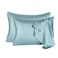 SIYUAN 2 Pcs Mulberry Silk Pillowcase for Hair and SkinCooling Silk Pillow Case with Hidden ZipperAllergen Proof Dual Sides Soft Breathable Smooth Silk Pillow Cover for WomenStandard2PCSAqua Blue