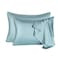 SIYUAN 2 Pcs Mulberry Silk Pillowcase for Hair and SkinCooling Silk Pillow Case with Hidden ZipperAllergen Proof Dual Sides Soft Breathable Smooth Silk Pillow Cover for WomenStandard2PCSAqua Blue