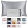 BLISSY Blissy Silk Pillowcase 100 Pure Mulberry Silk 22 Momme 6A HighGrade Fibers Silk Pillow Cover for Hair Skin Regular Queen King Silver Standard