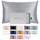 BLISSY Blissy Silk Pillowcase 100 Pure Mulberry Silk 22 Momme 6A HighGrade Fibers Silk Pillow Cover for Hair Skin Regular Queen King Silver Standard