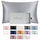 BLISSY Blissy Silk Pillowcase 100 Pure Mulberry Silk 22 Momme 6A HighGrade Fibers Silk Pillow Cover for Hair Skin Regular Queen King Silver Standard