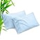 TELUS Pillow Cases Queen Size 2 Pack Bamboo Rayon Pillowcases with Envelope Closure Cooling Breathable Pillow Case for Hot Sleepers Night Sweats 20x30 inches Aqua Blue